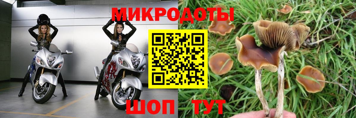 Избербаш  Псилоцибиновые грибы мухоморы  Вход с VPN 